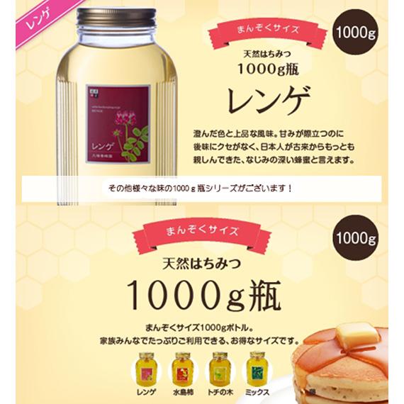フォロー割国産純粋れんげ蜂蜜 1kg 8本セット 国産レンゲハチミツ1000g瓶