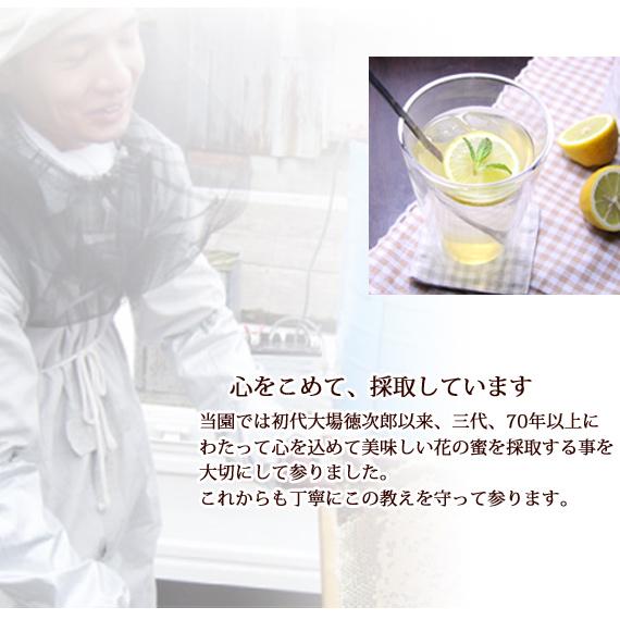 国産水島柿ハチミツ95ｇ |  | 03