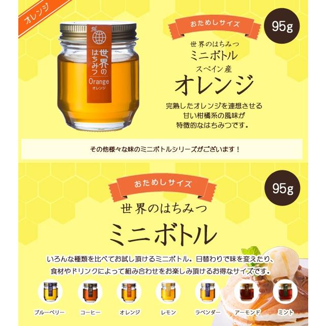 オレンジハチミツ95ｇ |  | 03