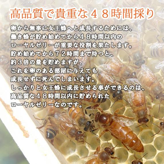 生ローヤルゼリー48　100ｇ |  | 02