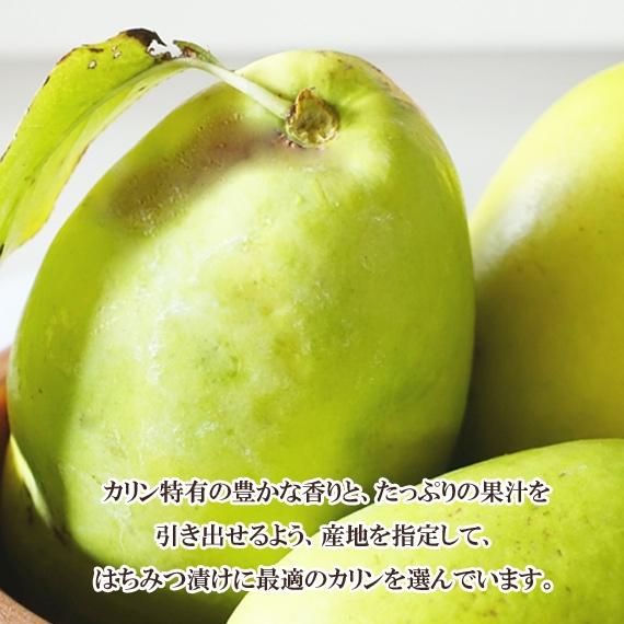 カリンとはちみつ500ｍｌ |  | 02