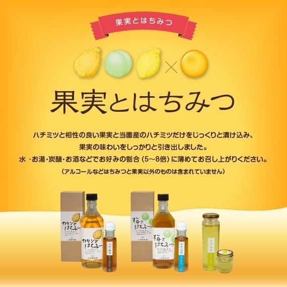 カリンとはちみつ500ｍｌ |  | 04