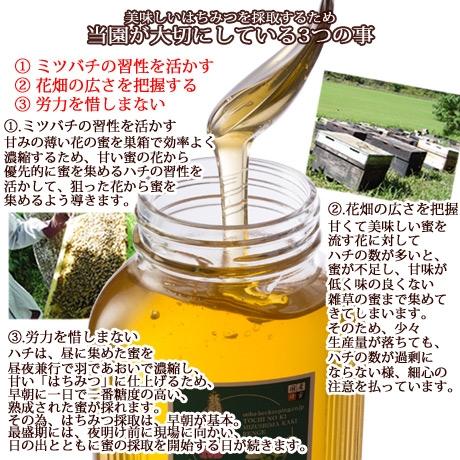 おすすめ国産はちみつ500ｇ3種セット｜ooba-beekeeping｜03