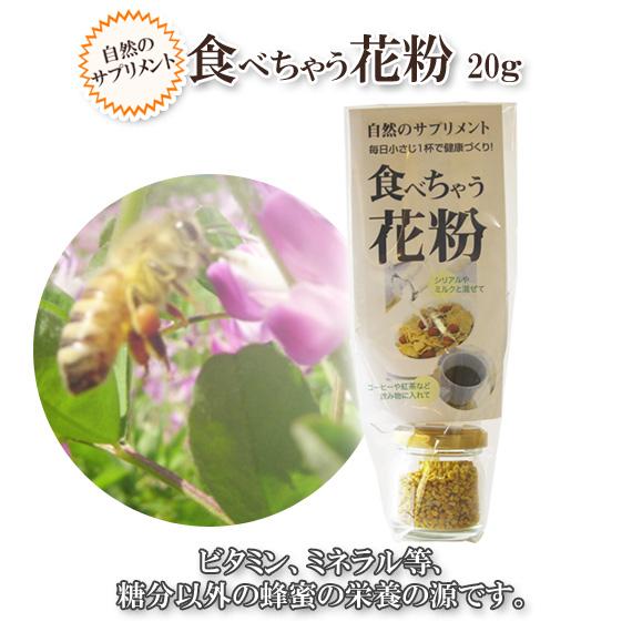 食べちゃう花粉　20ｇ | 