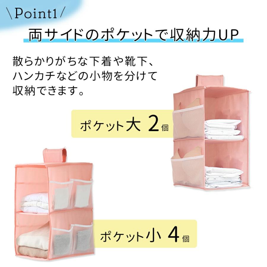 吊り下げ収納 ラック ボックス 2段 クローゼット 収納 吊り下げ 衣類