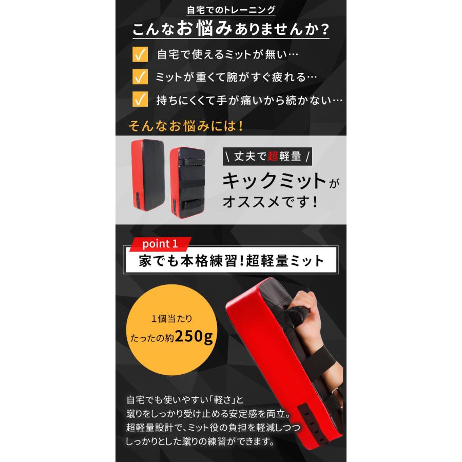 キックミット 2個セット 軽量 ボクシング 空手 格闘技 ボクササイズ