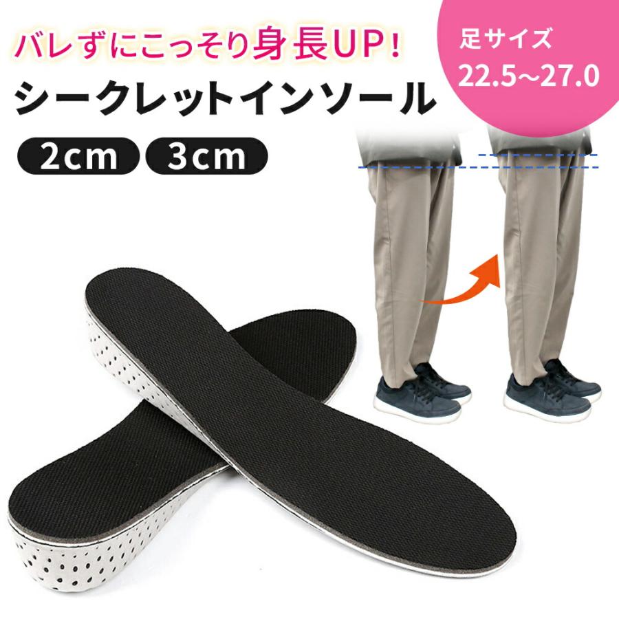 シークレット インソール 22.5～27cm 中敷き 低反発 男女兼用 3cm