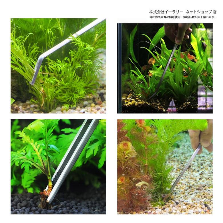 mitas 水草 トリミング 5点 セット ハサミ ピンセット フラッター