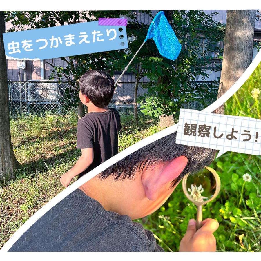 虫取り網 2本セット 折りたたみ 虫めがね付き 伸縮 昆虫採集 約42-86cm