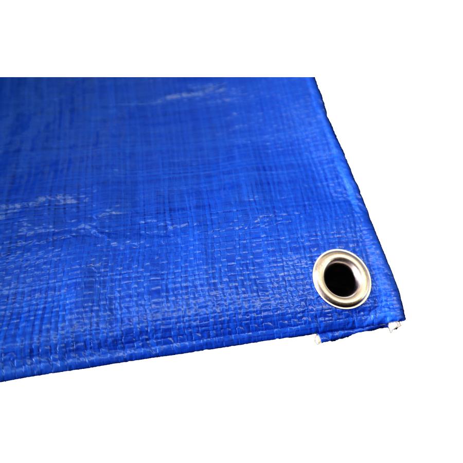 ブルーシート＃3000 5.4×5.4ｍ 6枚入 厚手シート 送料無料 建築、建設