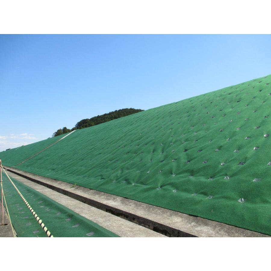 年中無休 ストロングマット 超厚手防草シート グリーン 個人様宅別途送料 法人様送料無料 耐用年数15年 厚み約3ｍｍ 2ｍ ｍ 農用シート 配送先 配送先をご選択ください Www Oroagri Eu