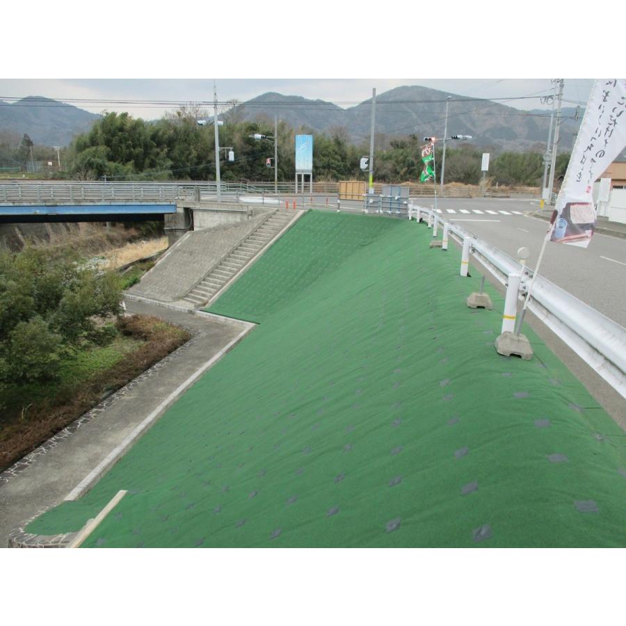 年中無休 ストロングマット 超厚手防草シート グリーン 個人様宅別途送料 法人様送料無料 耐用年数15年 厚み約3ｍｍ 2ｍ ｍ 農用シート 配送先 配送先をご選択ください Www Oroagri Eu