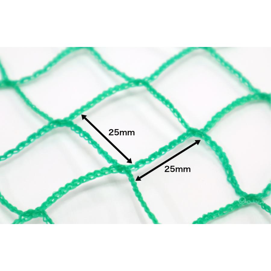 PE養生ネット 3m×10m ポリエチレン 25mm目 万能ネット 園芸