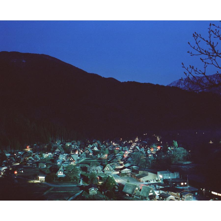 CineStill Film CineStill 800T カラーネガフィルム 120 2本SET : 大橋