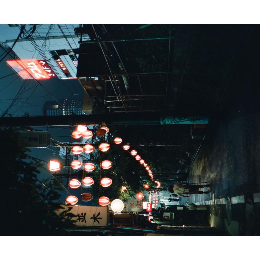 CineStill Film CineStill 800T カラーネガフィルム 120 2本SET : 大橋