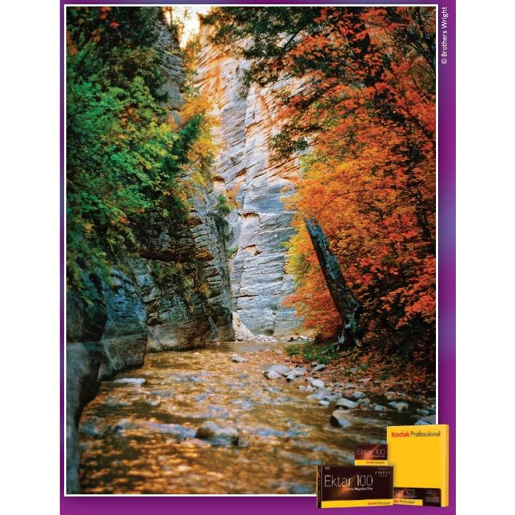 Kodak カラーネガフィルム エクター100 120 5本パック 8314098 | Kodak | 01