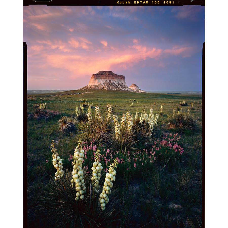 Kodak カラーネガフィルム エクター100 120 5本パック 8314098 | Kodak | 02