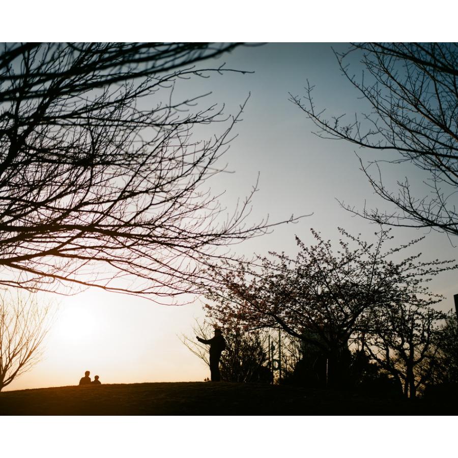 Kodak カラーネガフィルム エクター100 120 10本パック | Kodak | 07
