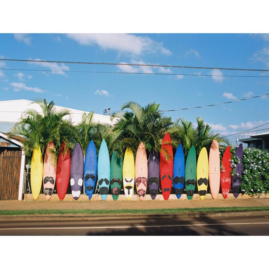 Kodak カラーネガフィルム GOLD 200 120 5本パック 1075597