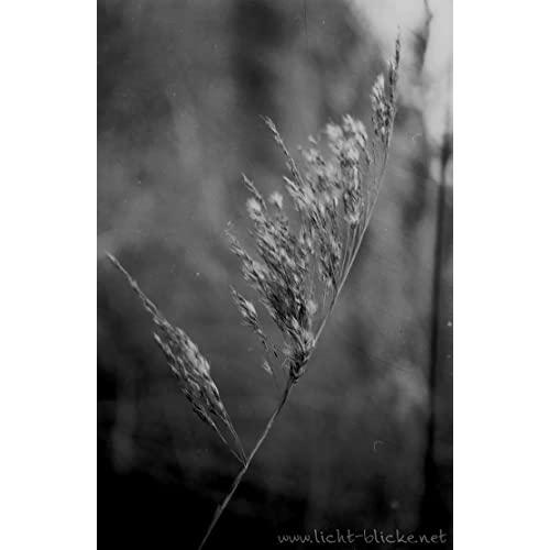 ORWO UN54 ISO100 黒白ネガティブフィルム 35mm 36枚撮 10本セット
