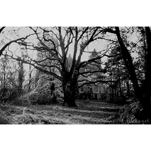 ORWO UN54 ISO100 黒白ネガティブフィルム 35mm 36枚撮 10本セット