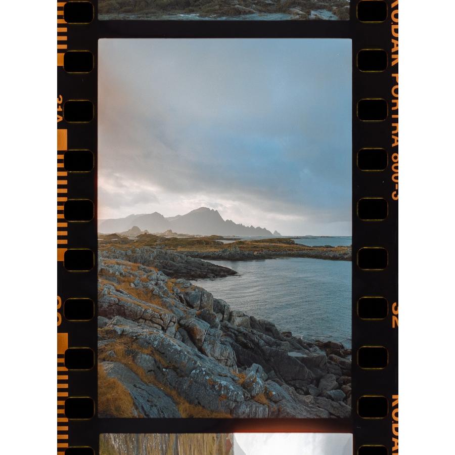Kodak カラーネガフィルム ポートラ800 120 2本パック | Kodak | 04