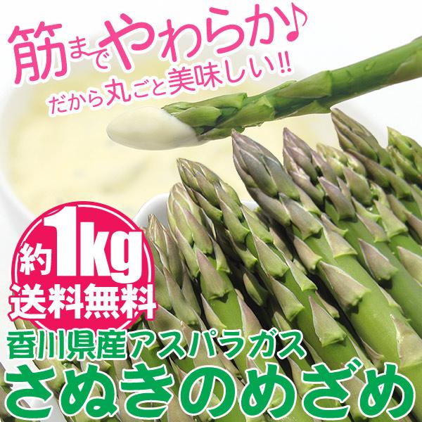 海のグリーンアスパラガス さぬきのめざめ 1kg 500ｇ×2束 チルド郵 国産アスパラガス ギフト 贈答用 お中元 生野菜 食品 農予冷（Yahoo!・瀬戸内の珍味 網元大将）