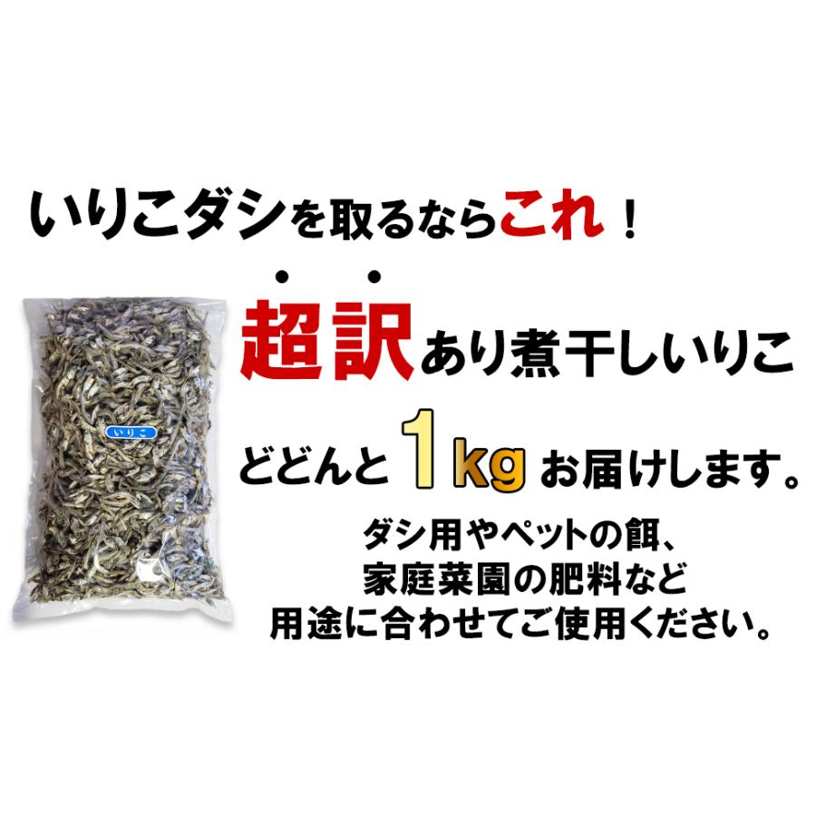超訳あり 煮干しいりこ 1kg 業務用 ダシ用イリコ : 瀬戸内の珍味 網