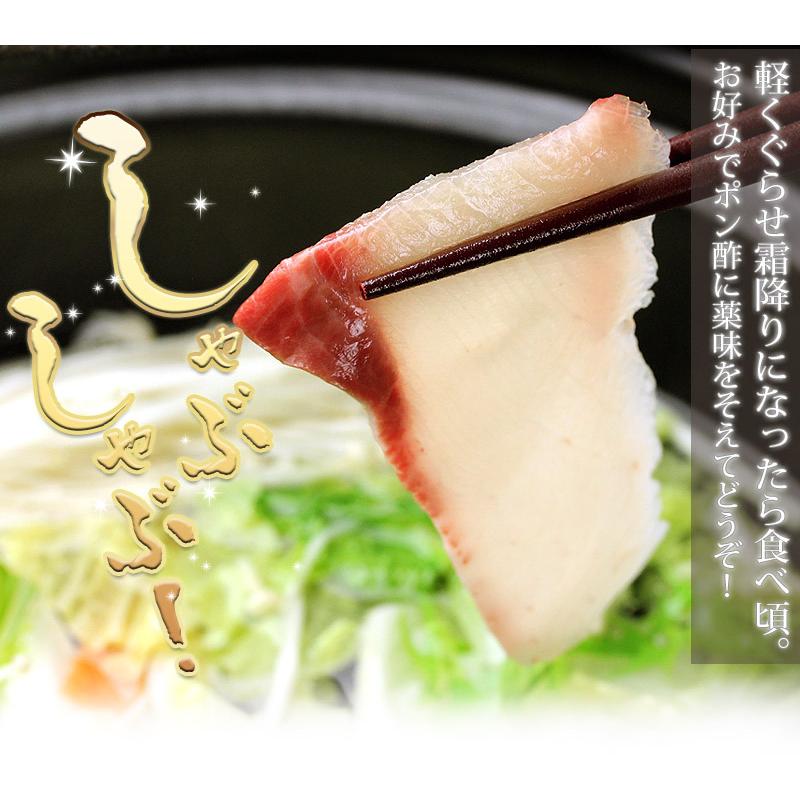 讃岐のオリーブハマチ半身 養殖 約8〜10人前 チルドヤ 年末出荷 刺身 料理 贈り物 冬ギフト 魚 海鮮 国産 香川