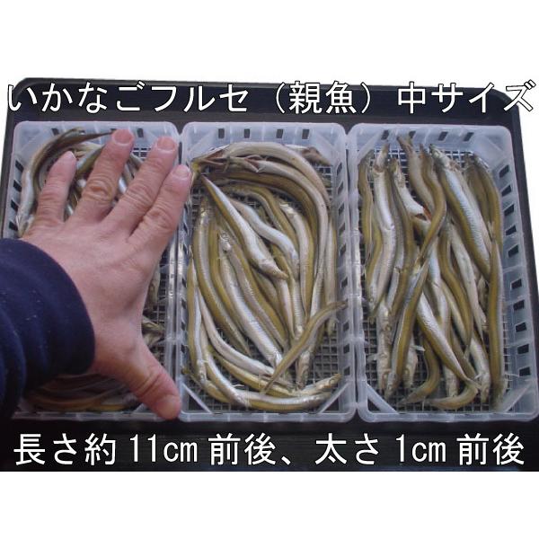 香川県産いかなご釜揚げ ふるせ 3枚セット 300ｇ 3 Huruse3 瀬戸内の珍味 網元大将 通販 Yahoo ショッピング