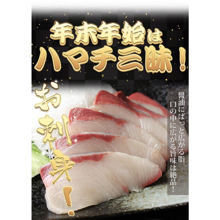 発祥の地 讃岐のオリーブハマチ 養殖 約4 0ｋｇ前後 約人前 Olib Hamachi 瀬戸内の珍味 網元大将 通販 Yahoo ショッピング