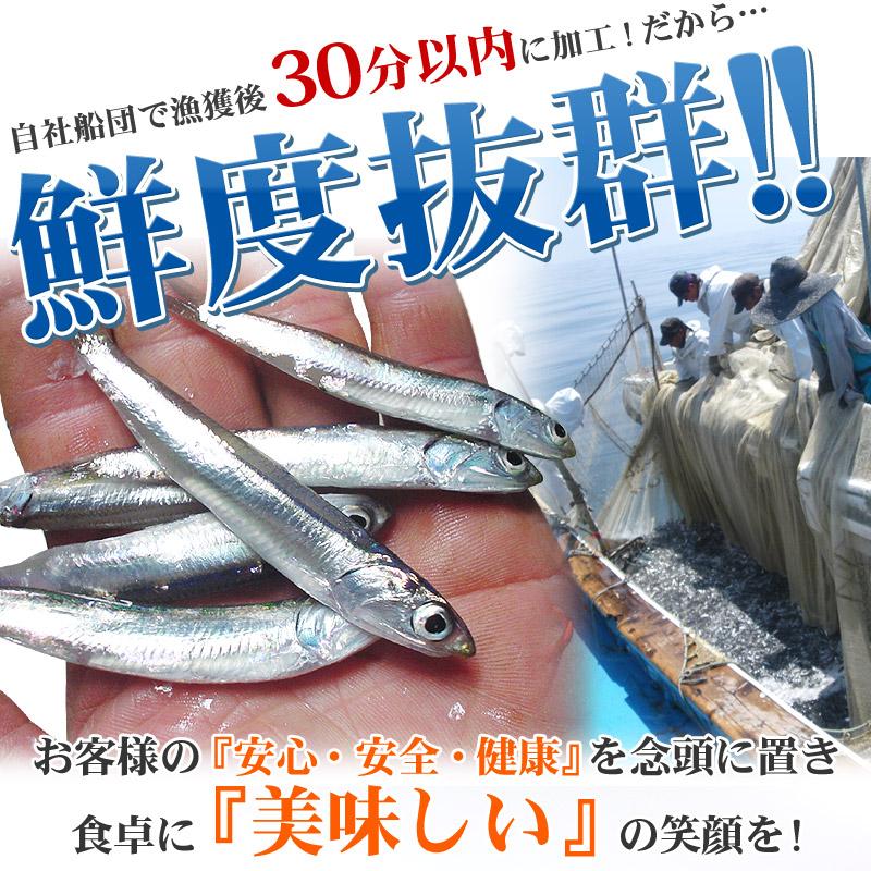 伊吹島沖産の高級煮干いりこ「セグロ」1袋230g /ダシ取り いりこダシ