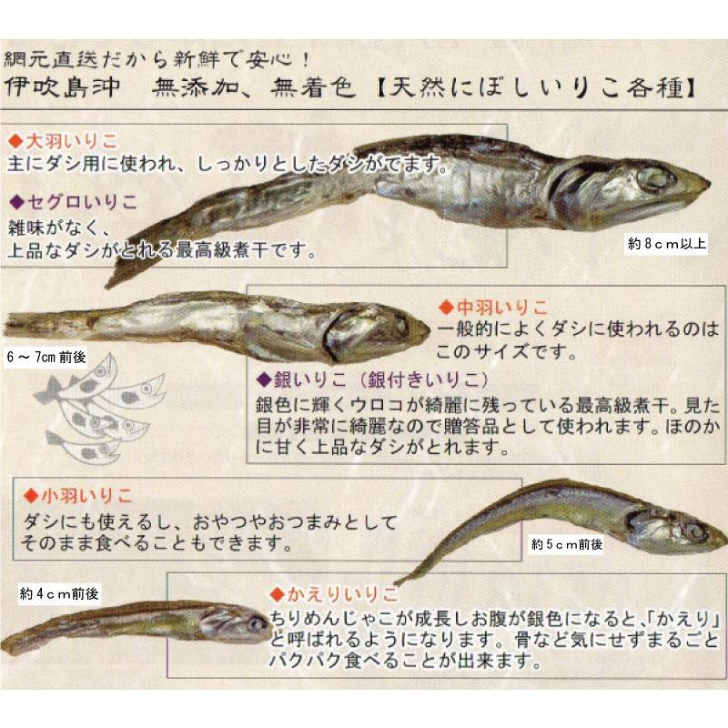 2026年度新物 伊吹島沖産の「上物」煮干しいりこ3袋セット : 瀬戸内の 
