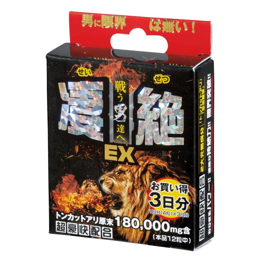 超絶最強セール‼︎ ３年目　ユッカ　トンプソニアーナ 超絶最強セール‼︎ 3年目 ユッカ トンプソニアーナ 80本