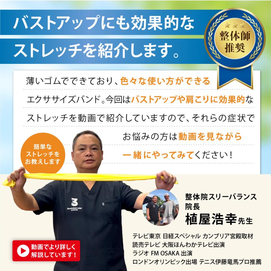 トレーニングチューブ 最強 エクササイズバンド インナーマッスル 筋トレ ヨガ ゴムバンド フィットネス ループバンド 天然ゴム ロング トレーニング 強度 | ブランド登録なし | 01