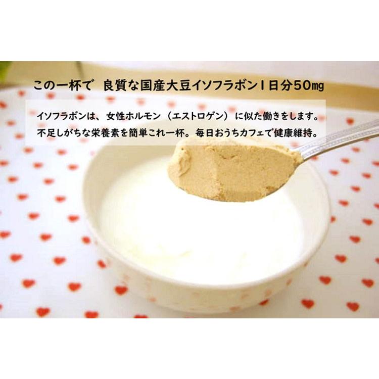 大川食品工業 きなこのおすすめストレート 12g×30袋 きな粉ドリンク