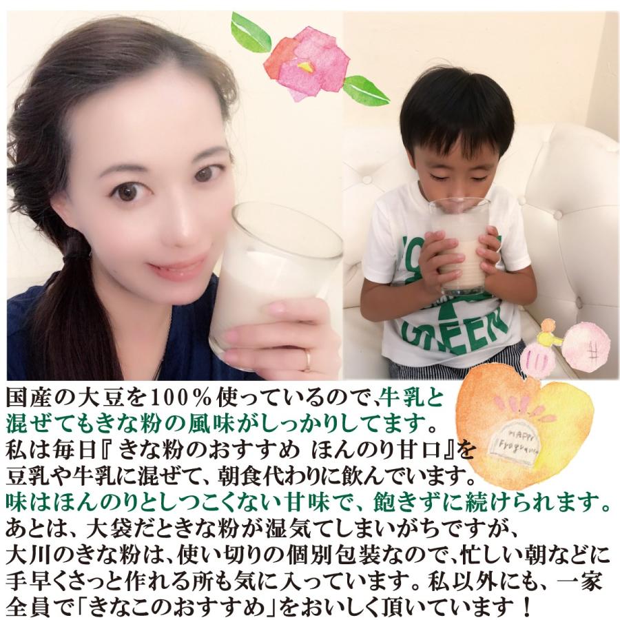 大川食品工業 きなこのおすすめ甘口 12g×30袋 きな粉ドリンク