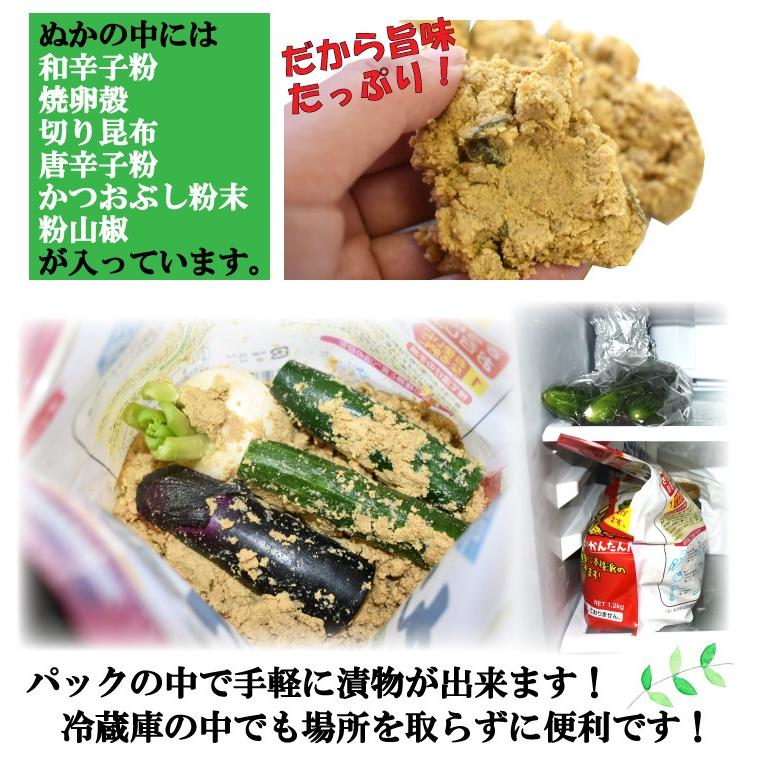 ぬか床　無添加ぬかみそパック1.0kg　1〜3人用 | 大川食品工業 | 02