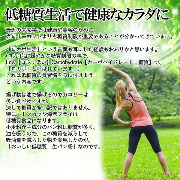 おいしい低糖質　生パン粉  100g  3袋セット　糖質70%カット【2セット購入したら送料無料】 | 大川食品工業 | 08