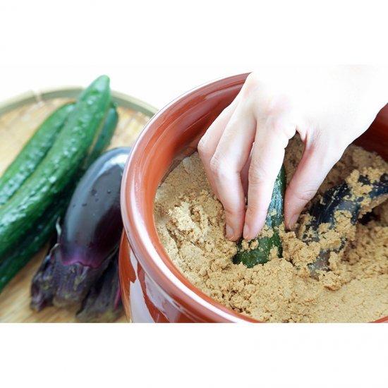 補充用野菜漬けの素　300g3袋セット | 大川食品工業 | 01