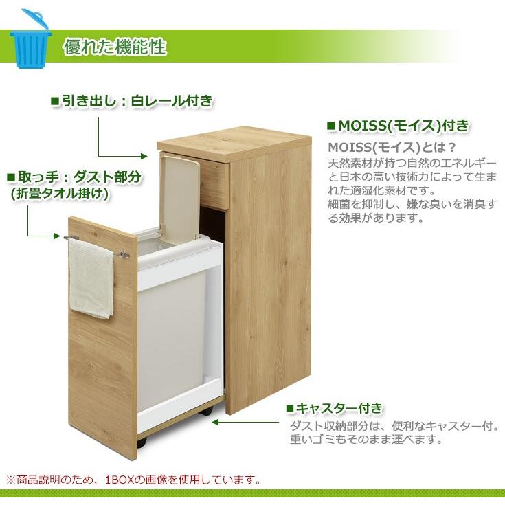 ゴミ箱 おしゃれ ダストボックスカウンター キッチンカウンター 2分別