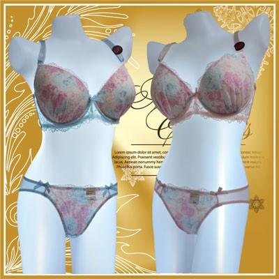 Gカップ Hカップ ブラジャー ショーツ セット 1628ha09 ,G85,G90,G95