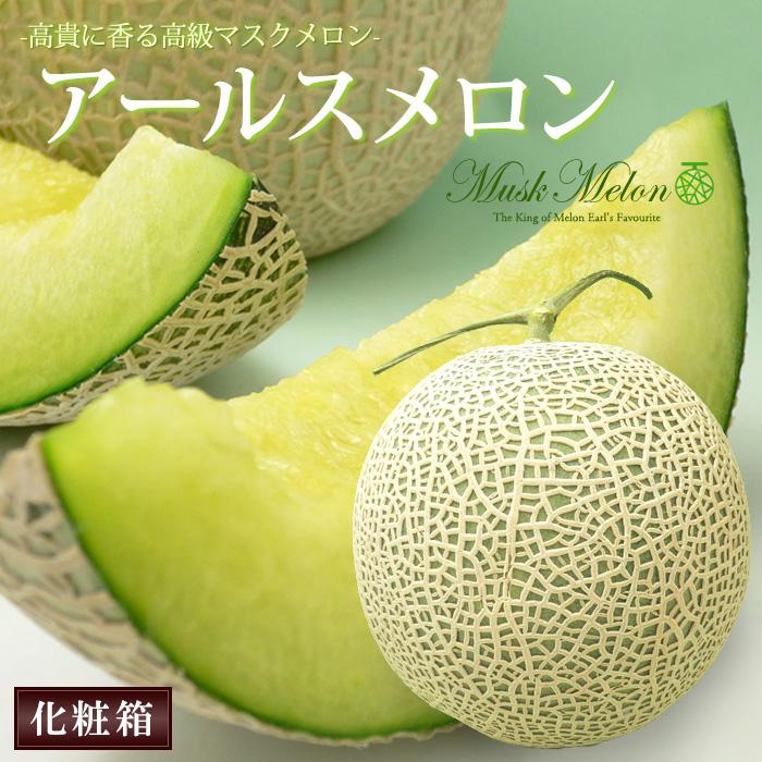 アールスメロン (1玉) 産地お任せ マスクメロン メロン めろん melon