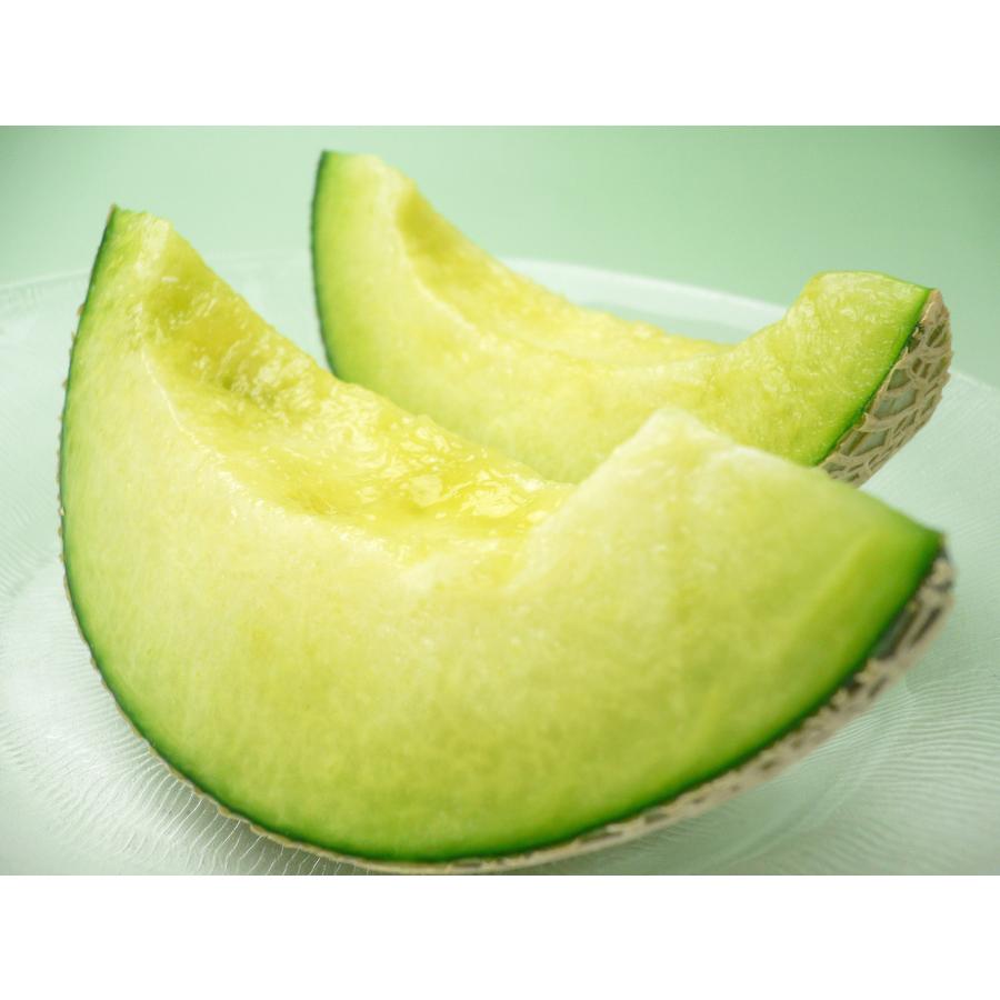 アールスメロン (1玉) 産地お任せ マスクメロン メロン めろん melon