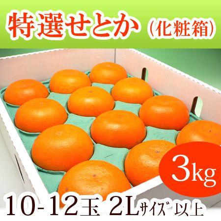 ハウス せとか 2L-3L (約3kg) 愛媛/佐賀産 秀品 贈答 ギフト セトカ