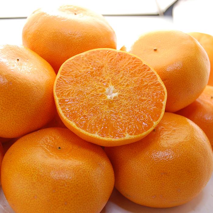 ハウス せとか 2L-3L (約3kg) 愛媛/佐賀産 秀品 贈答 ギフト セトカ