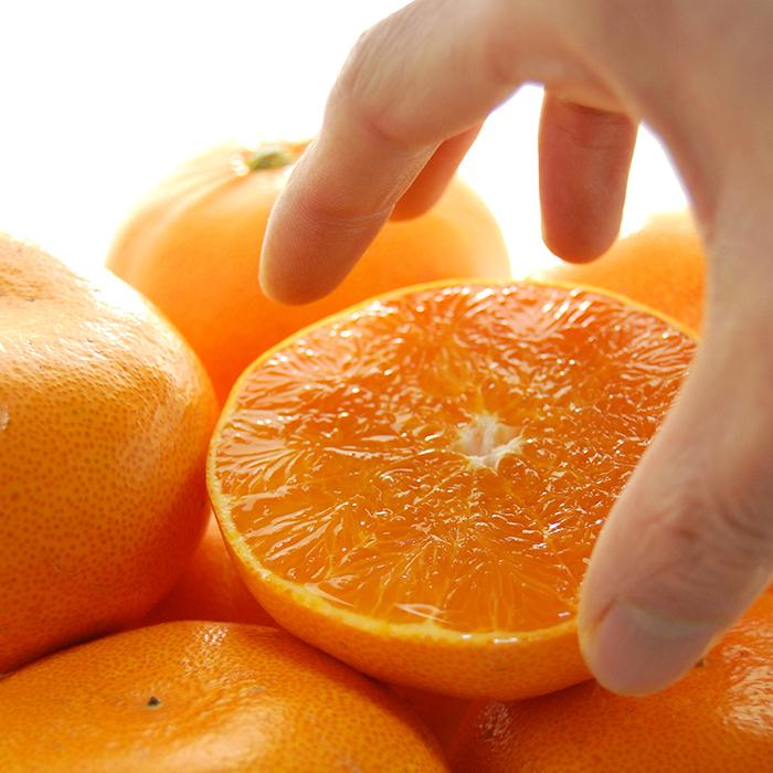 みかん ウルトラ極ドリンク早生温州みかん｜伊豆オレンヂセンター