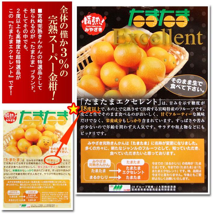 たまたま エクセレント 2L-3L (1kg) 宮崎産 たまたまEX 金柑 きんかん