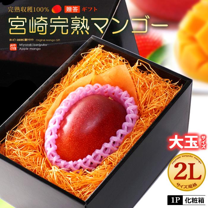 宮崎マンゴー (2L/約350g) 宮崎産 赤秀〜青秀 宮崎完熟マンゴー 宮崎マンゴー (2L/約350g) 宮崎産 赤秀〜青秀 宮崎完熟マンゴー