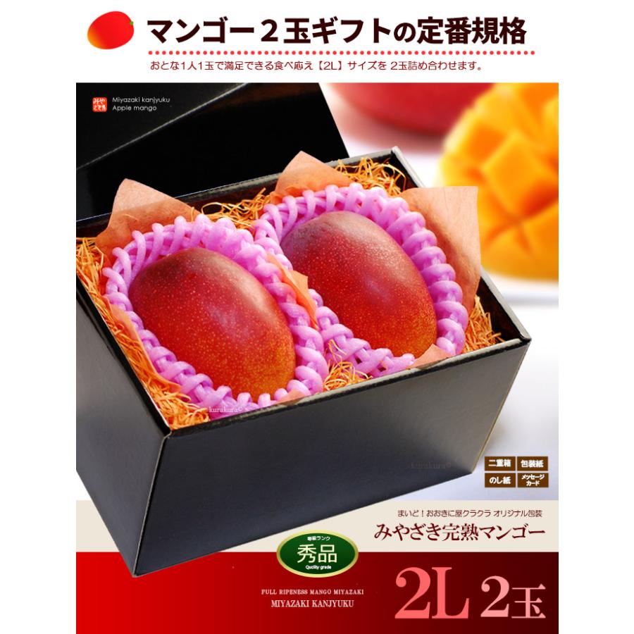 宮崎マンゴー (2L×2玉/約700g) 宮崎産 赤秀〜青秀 宮崎完熟 宮崎マンゴー (2L×2玉/約700g) 宮崎産 赤秀〜青秀 宮崎完熟